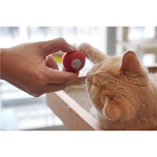 Cheerble M1 Mini Cat Ball (Red)